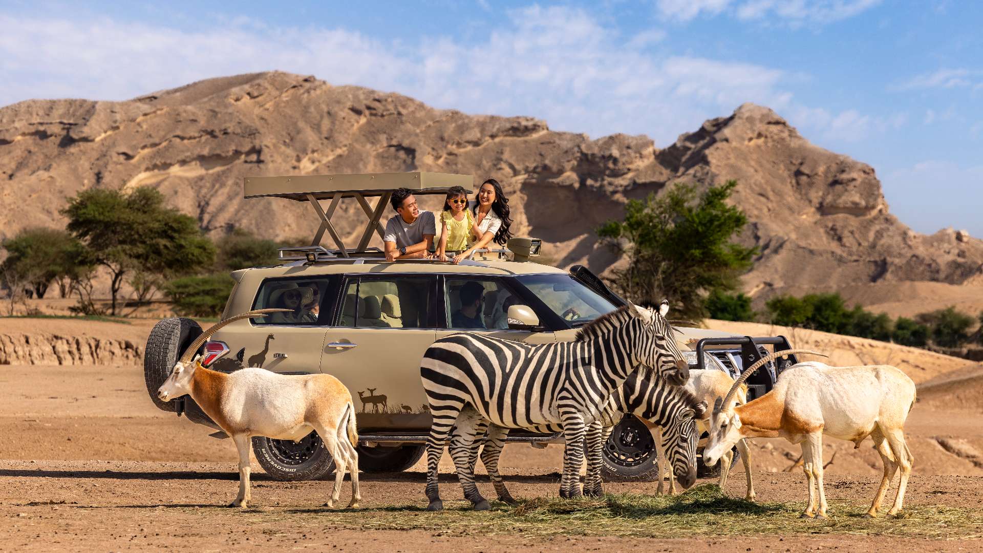 Safari vehicle in a desert wildlife park with visitors on the roof viewing a zebra and scimitar-horned oryx, with rocky dunes and blue sky in the background.