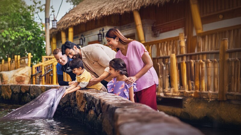 Mother and son interacting with a dolphin