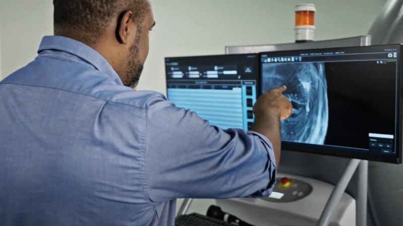 Veterinarian checking scan result in the computer