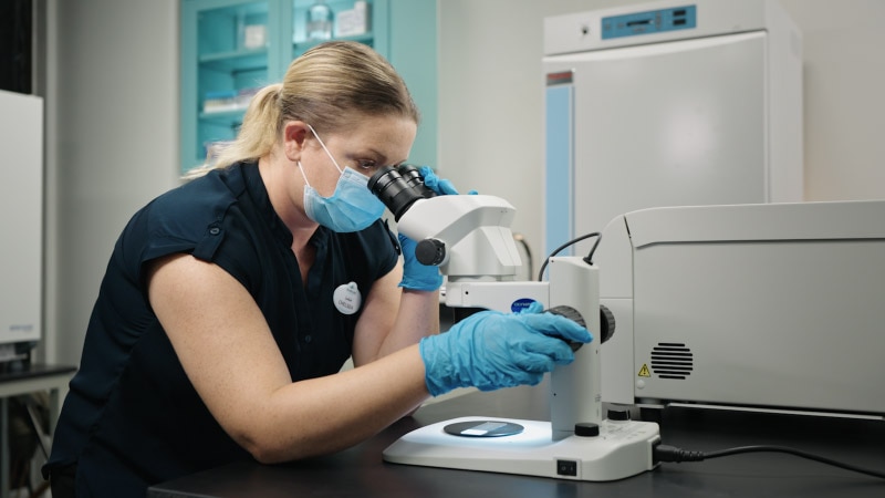 Scientist using a microscope