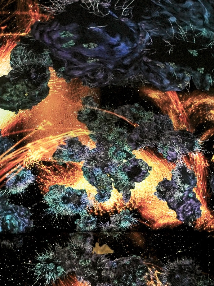 Mesmerizing and colorful Biocosmos artwork