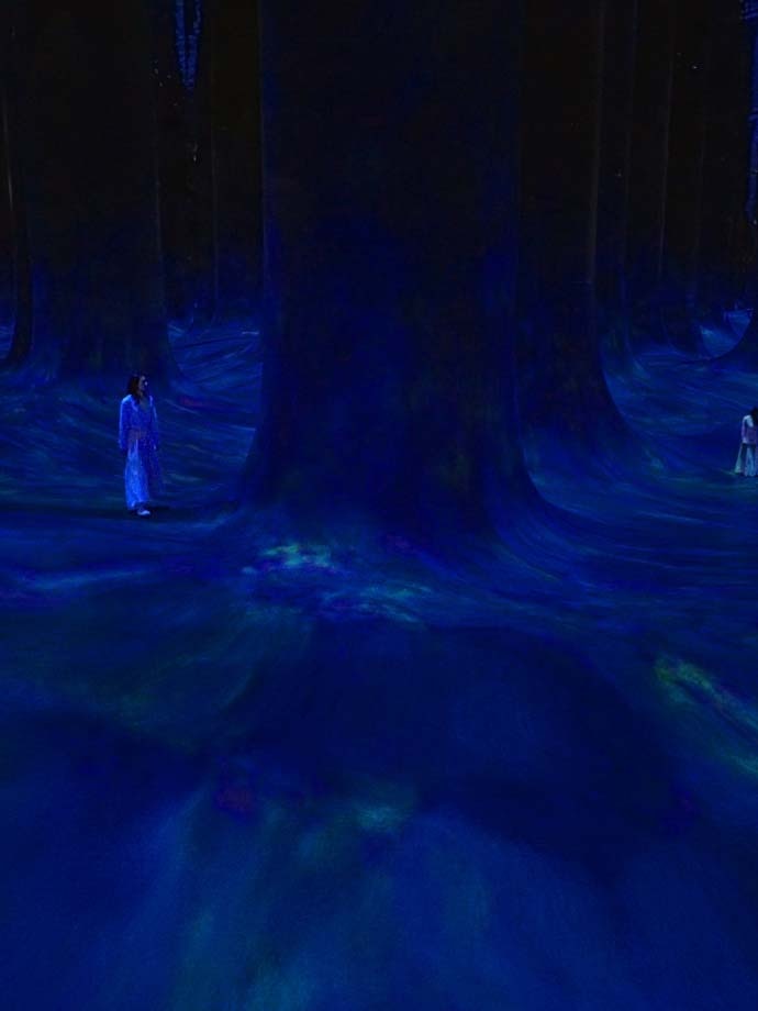 A lady standing in front of the dark and bluish ambiance of Waves artwork
