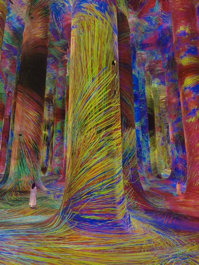 Vibrant projection of colorful lines all over Spontaneous Order in Chaos artwork