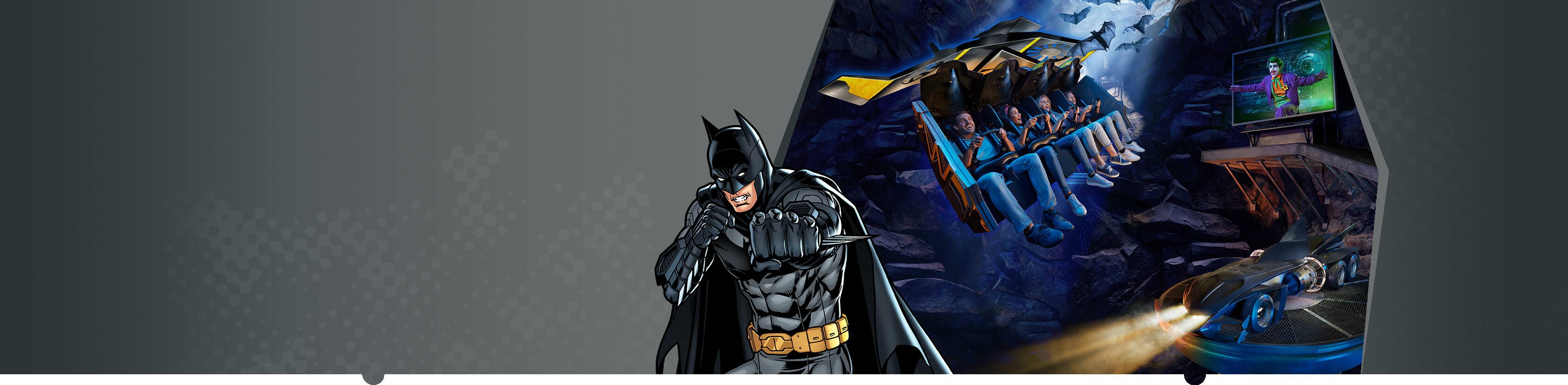 Batman: Knight Flight